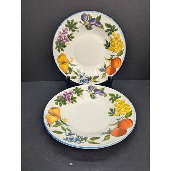 Tabletops Unlimited Stoneware Essence Rimmed Soup Bowl Fruit Pattern Set of 2 - Picture 1 of 6